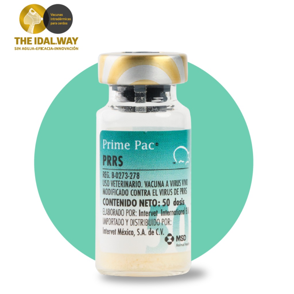 Vacuna para la inmunización activa de cerdos: PrimePac® PRRS