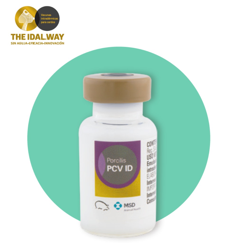 Vacuna: Porcilis® PCV ID