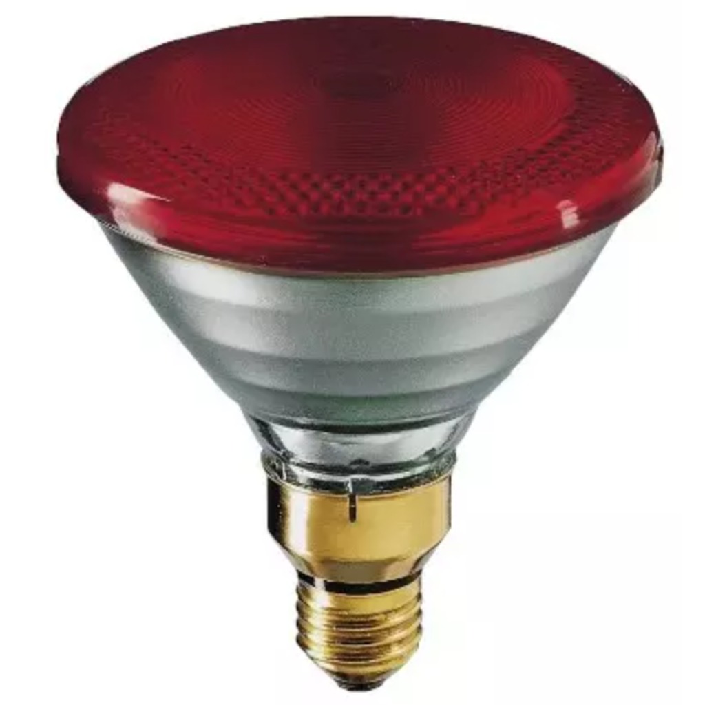 Ampoule infrarouge Philips PAR 175 watts 1 unité