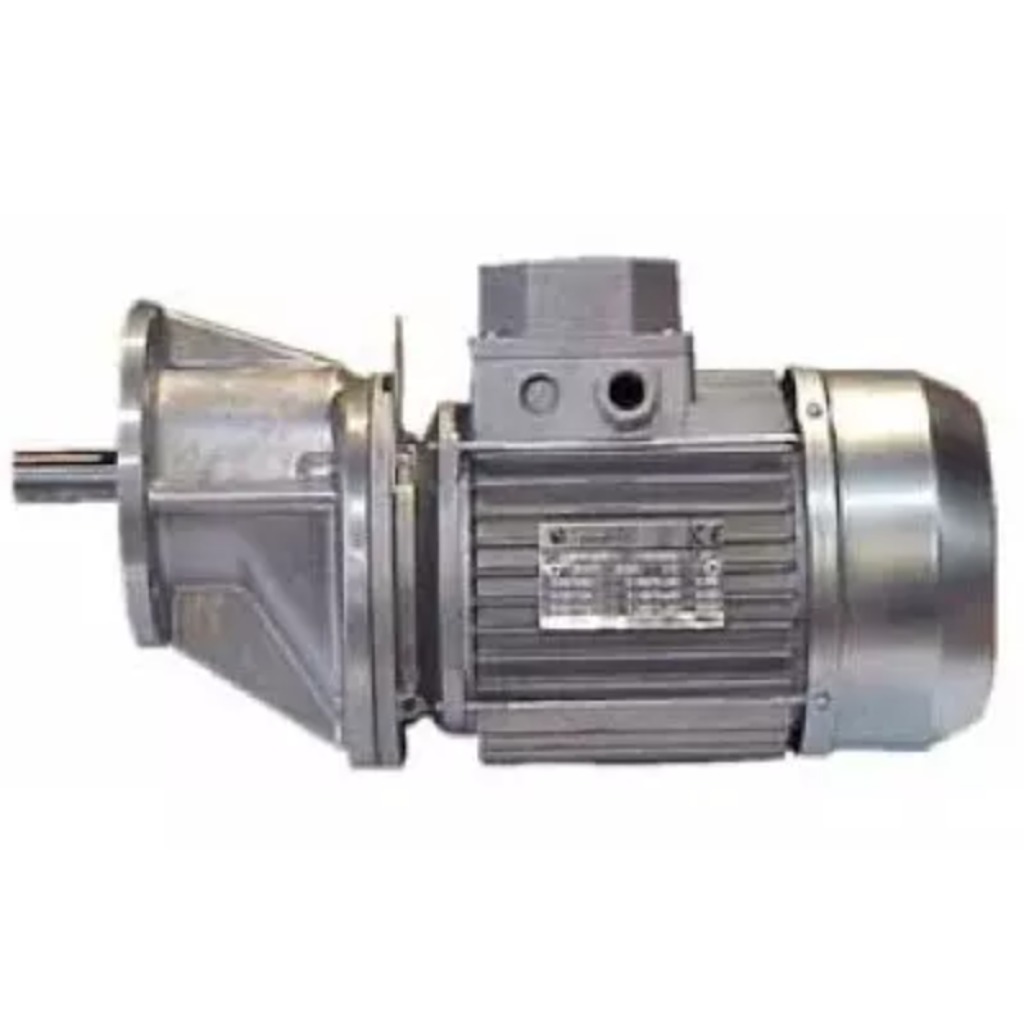Motoriduttore trifase 300 giri/min 0,75 kW 50 Hz / 1 hp