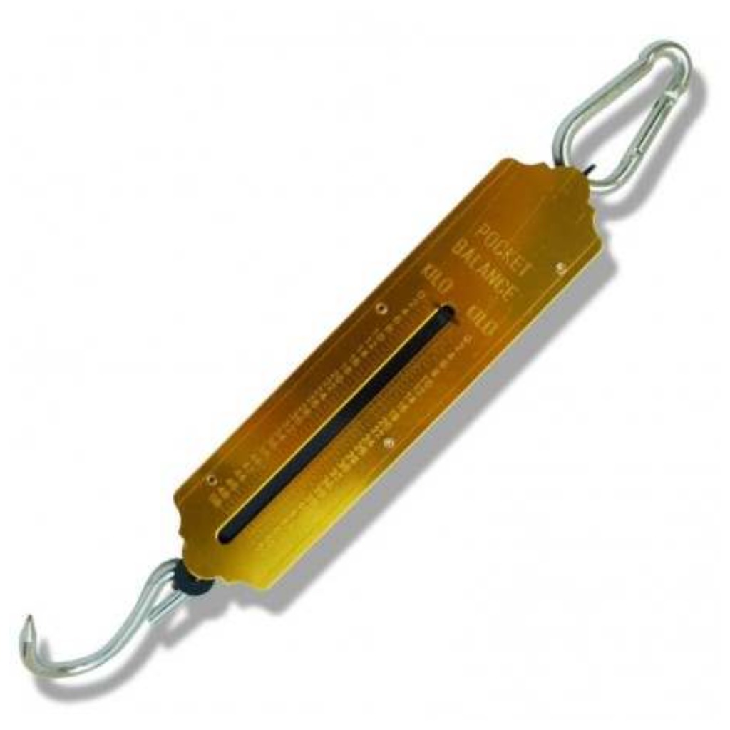 Dinamometro tubolare - 50 kg
