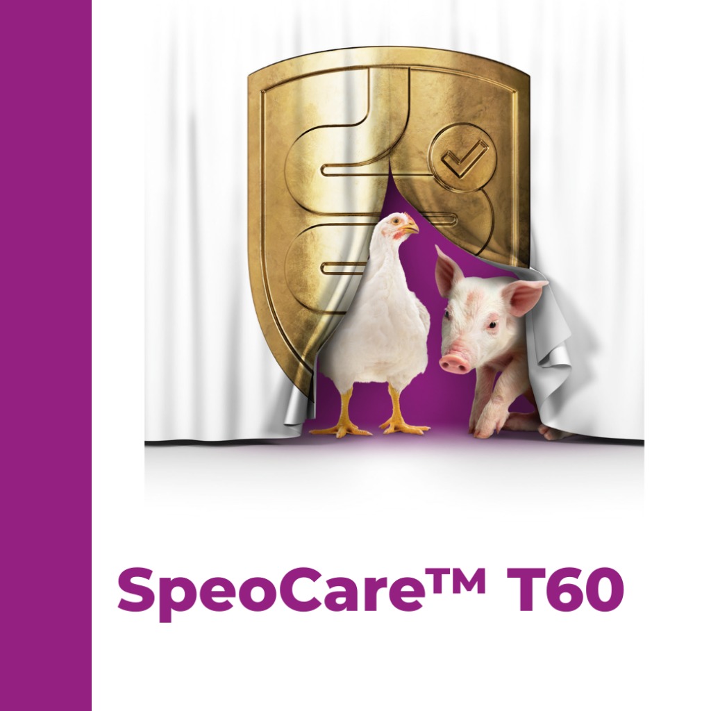 SpeoCare™ T60