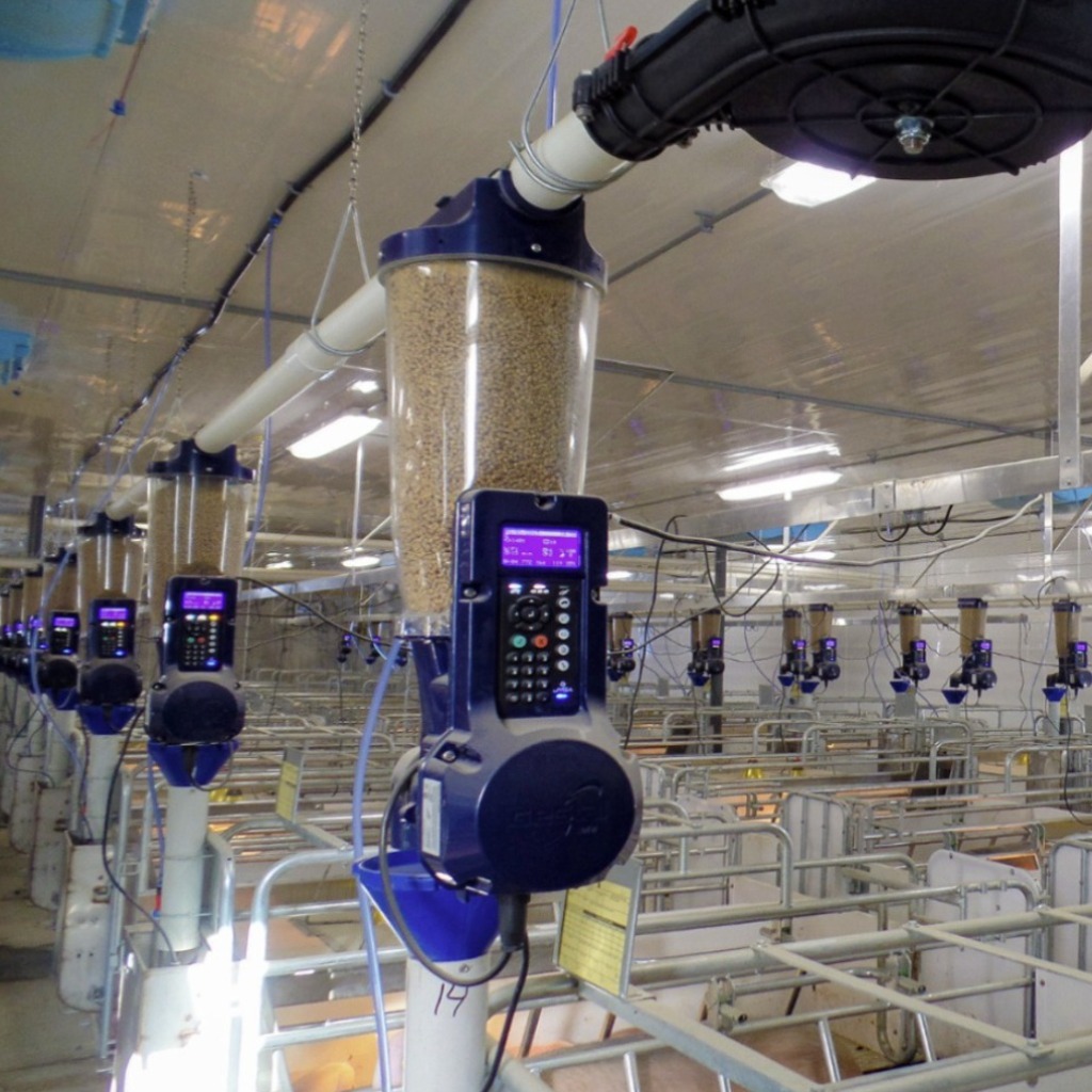 GESTAL Solo+: Sistema de alimentação de precisão para alimentação e manejo de fêmeas lactantes