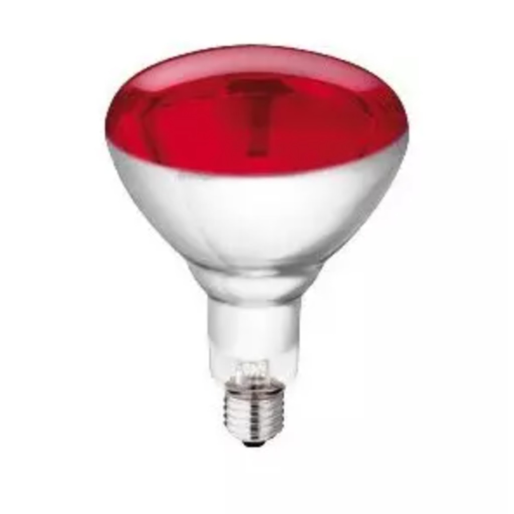 Philips 250 Watt heating bulb