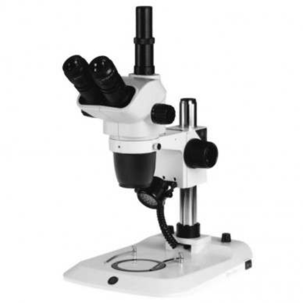 Microscopio EUROMEX NexiusZoom. Microscopio stereoscopico trinoculare.
