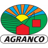 Marco  Arredondo