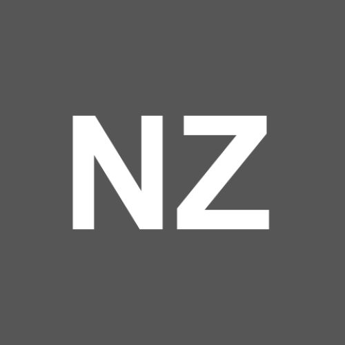 nie  zhidong 